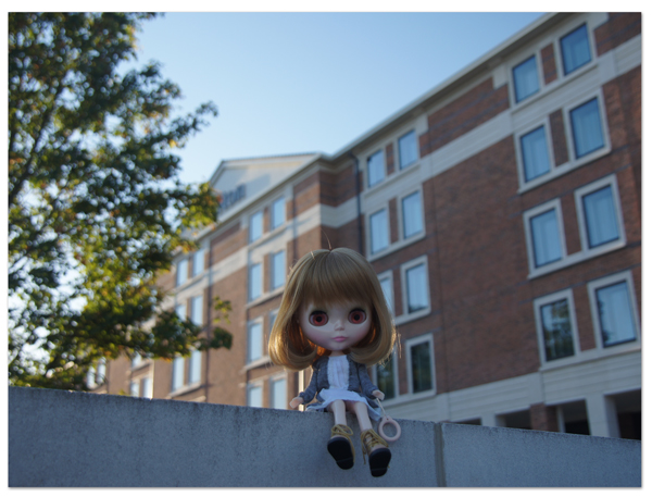 エーゲ海・アドリア海クルーズ(3) Hoppaバスでヒルトンホテルへ_d0210324_22155676.jpg