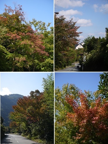 ひと足早く「秋色」に・・・　　～有馬温泉（神戸）～_c0235725_20302353.jpg