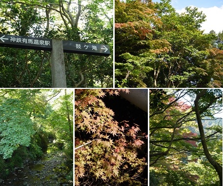 ひと足早く「秋色」に・・・ ~有馬温泉(神戸)~_c0235725_2038514.jpg