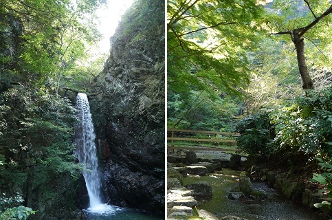 ひと足早く「秋色」に・・・ ~有馬温泉(神戸)~_c0235725_20431987.jpg