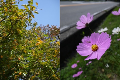ひと足早く「秋色」に・・・ ~有馬温泉(神戸)~_c0235725_21354795.jpg