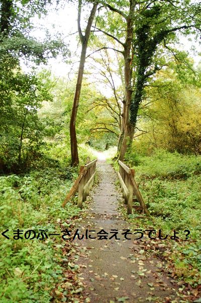 スターと秋のお散歩デート♡_d0104926_015289.jpg
