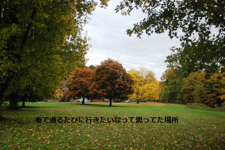 スターと秋のお散歩デート♡_d0104926_0211097.jpg