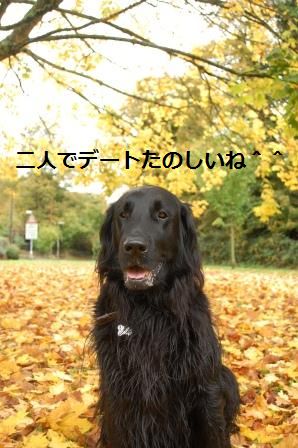スターと秋のお散歩デート♡_d0104926_0244942.jpg
