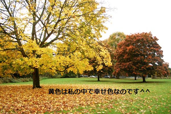 スターと秋のお散歩デート♡_d0104926_028269.jpg