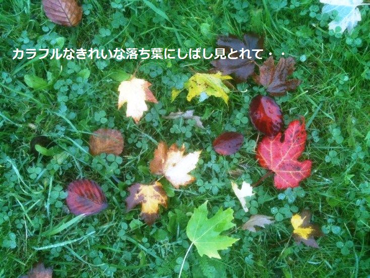 スターと秋のお散歩デート♡_d0104926_074271.jpg