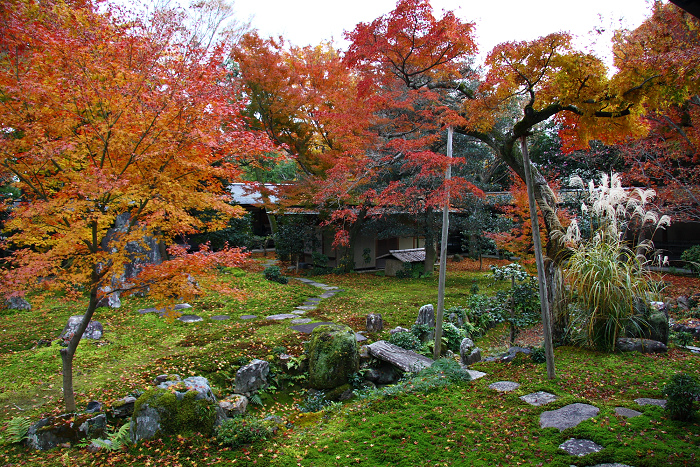 紅葉の大徳寺 －黄梅院（後編）－_b0169330_23343323.jpg