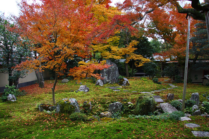 紅葉の大徳寺 －黄梅院（後編）－_b0169330_23344417.jpg