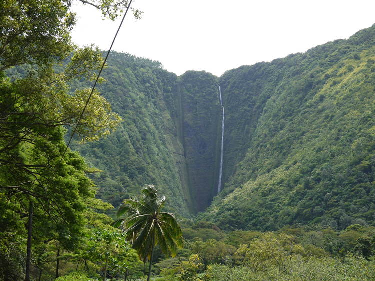 Big Island 神秘と癒しのエネルギー　Vol.2_a0224731_1741311.jpg