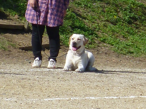 e0200132_22101550.jpg