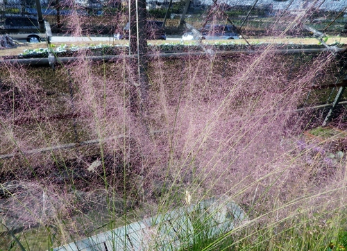 d0159033_19125049.jpg