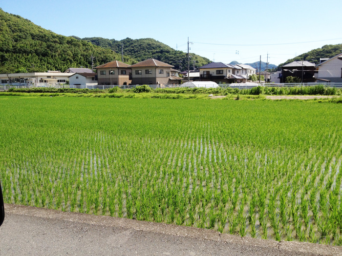 d0269133_23221132.jpg