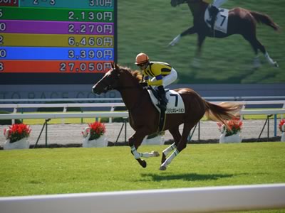 リジェネレーションの未勝利戦2_d0133437_158028.jpg