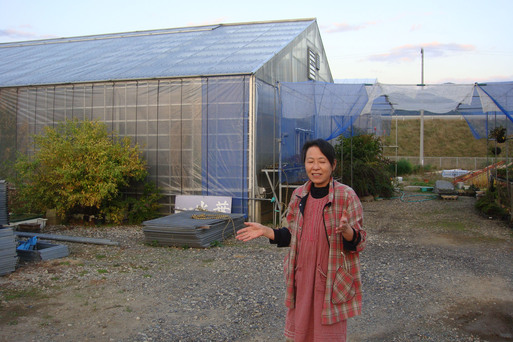山野草の店「光葉」_e0226943_02567.jpg