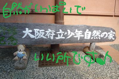 f0128146_21565793.jpg