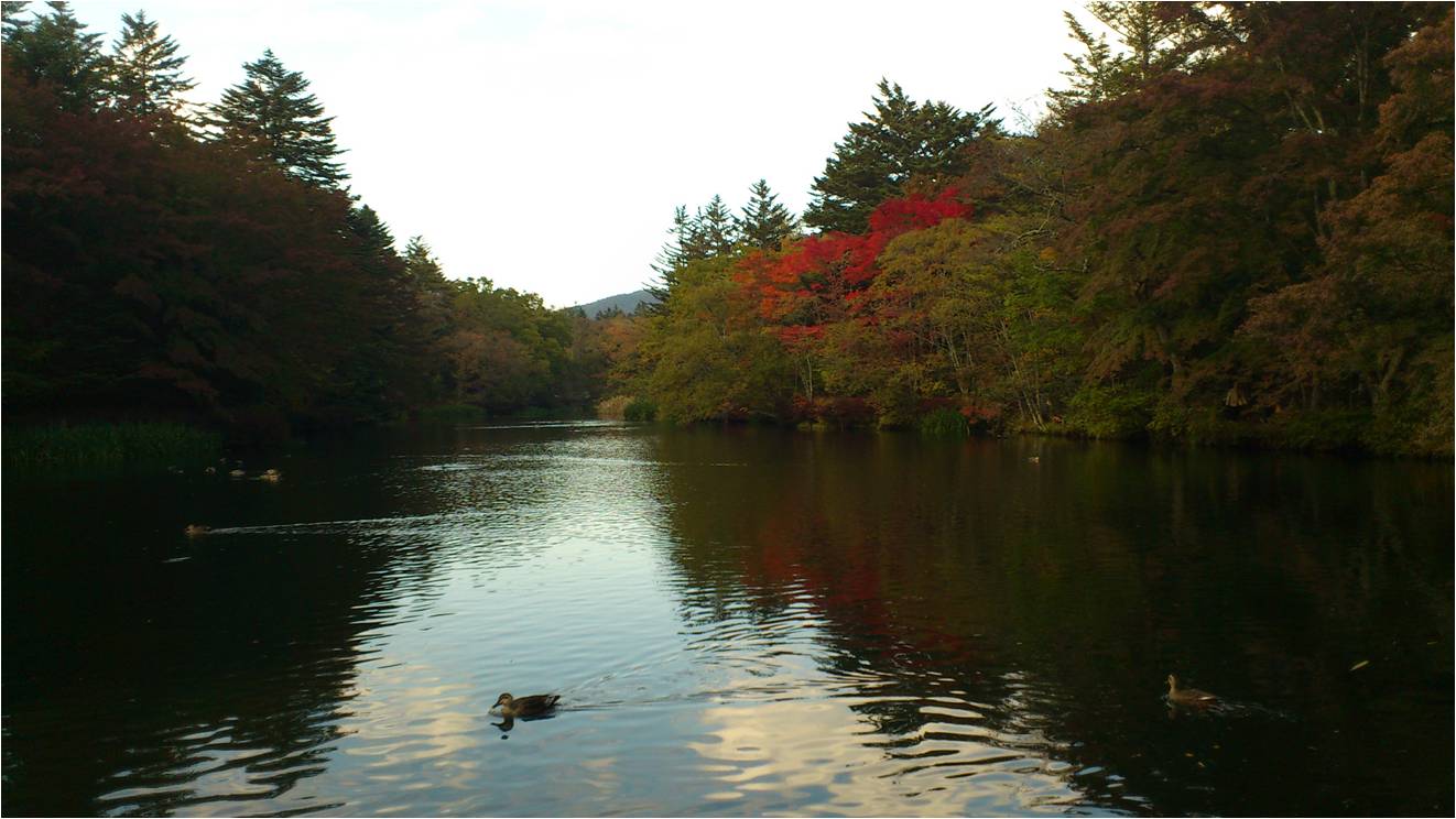 雲場池の紅葉とドックガーデンリゾート軽井沢♪_b0245048_19171783.jpg