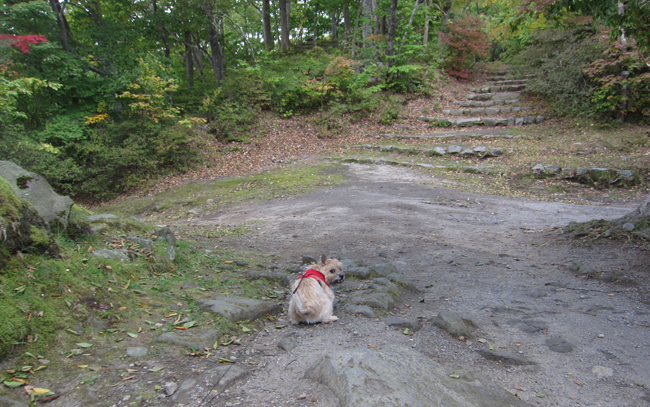 ちょこっと，大沼公園から鹿部方面へ！　(2012.10.20)_c0147548_1626132.jpg