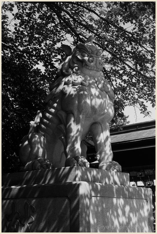 狛犬コレクション～寒川神社～  Leica M3_e0063851_17233894.jpg