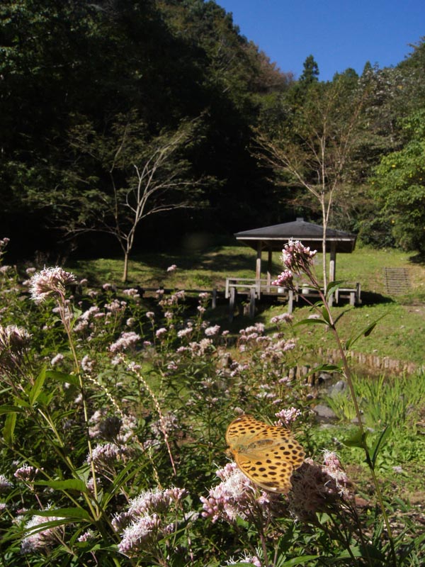 c0045352_18441987.jpg