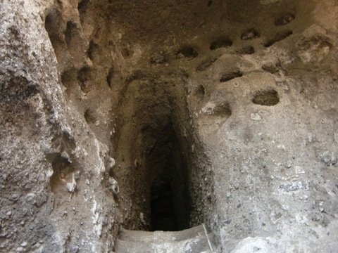 c0206352_1452138.jpg