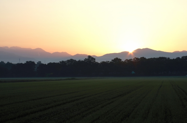 b0248954_5151745.jpg