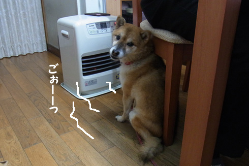 c0016056_23125836.jpg