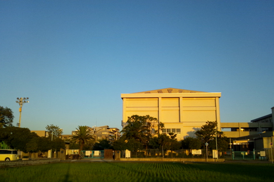 d0218056_133228.jpg