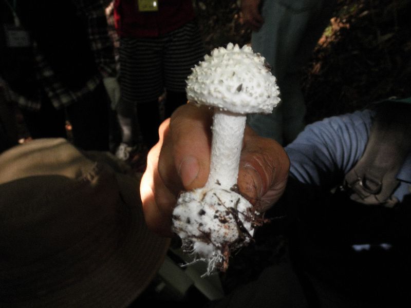 c0016259_202217.jpg