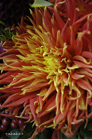 c0070460_9402929.jpg