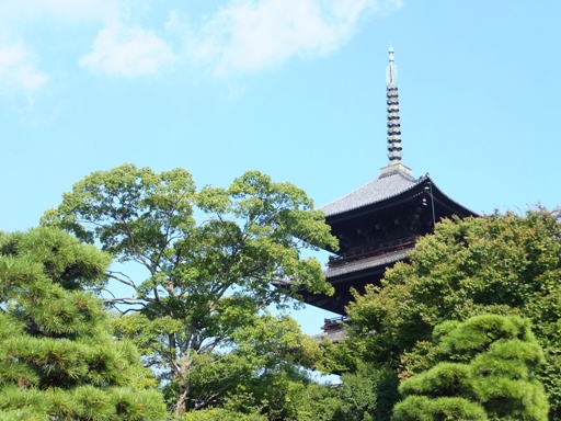 弘法市 東寺縁日 Lapilish S Peaceful Life 弘法市 東寺縁日 Lapilish S Peaceful Life