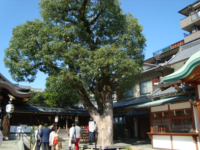 京都・一條戻橋「清明神社」へ行く。_f0232060_19455235.jpg