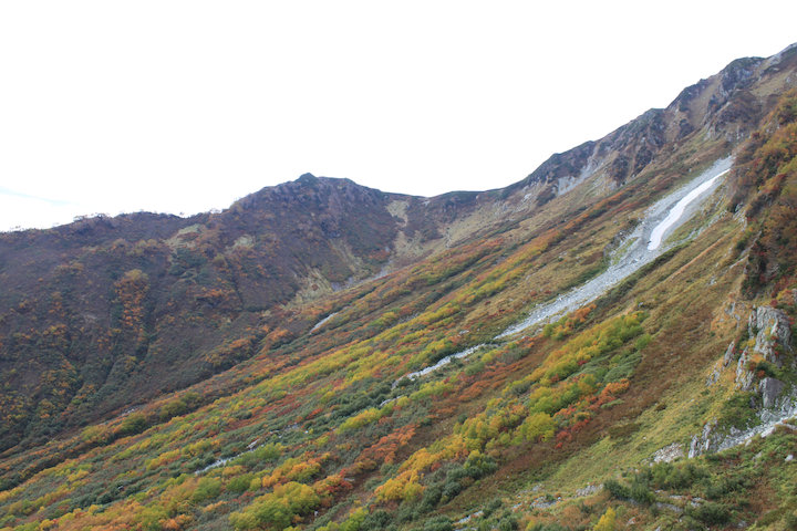 黒部立山アルペンルート_c0178561_19562549.jpg