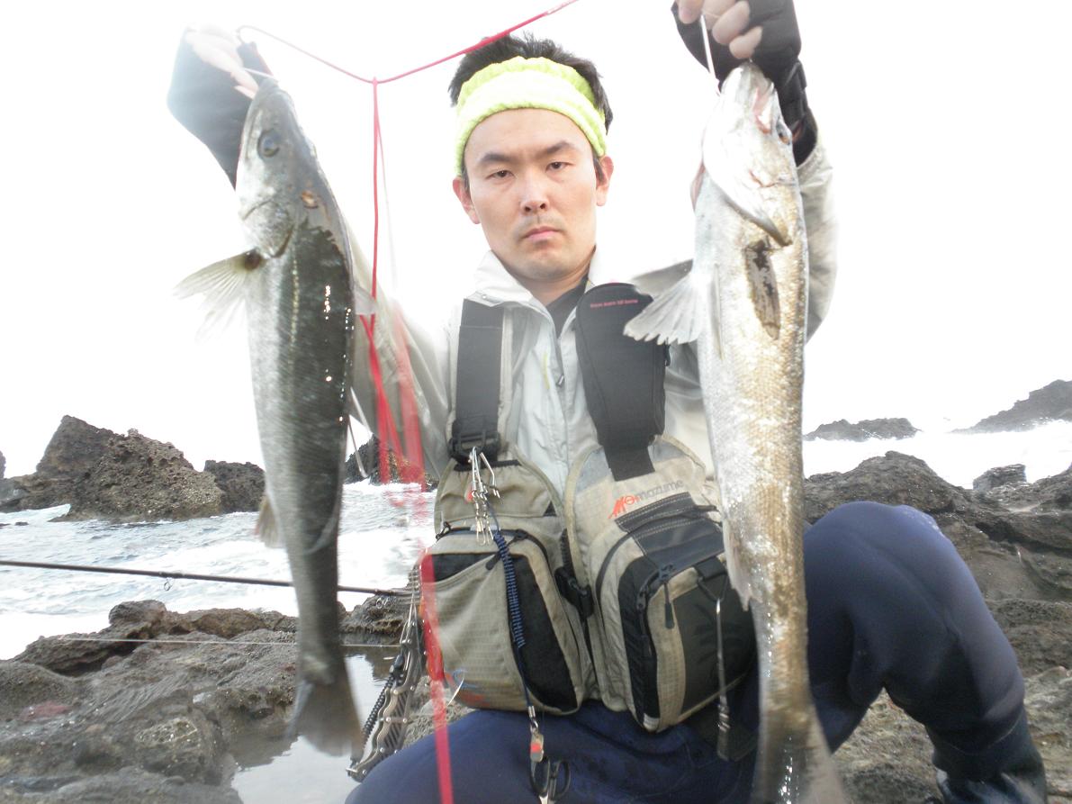 荒れ狂う磯に挑め 磯マル乱舞 ミヤちゃんの夢二尺を求めて 荒れ狂う磯に挑め 磯マル乱舞 ミヤちゃんの夢二尺を求めて