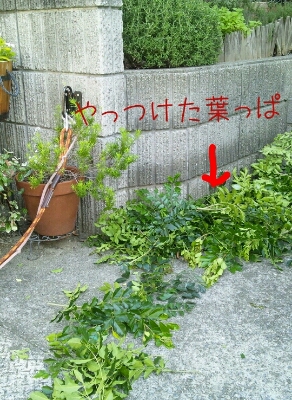 f0238772_238965.jpg