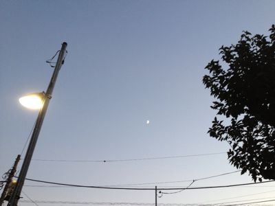 b0134673_20461716.jpg