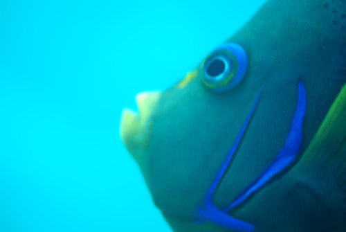c0181073_2016461.jpg