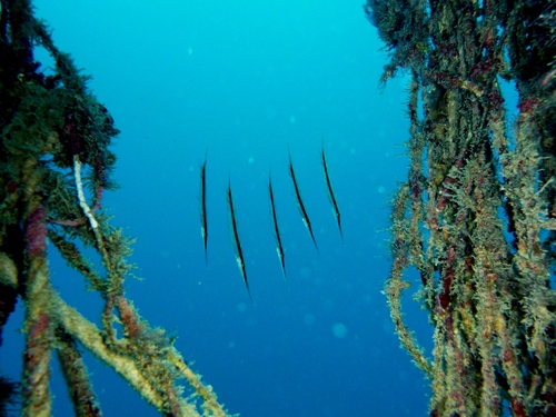 c0181073_2028467.jpg