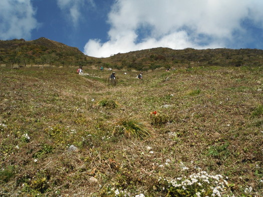 c0066176_10432176.jpg