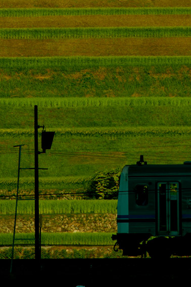 f0136878_524303.jpg