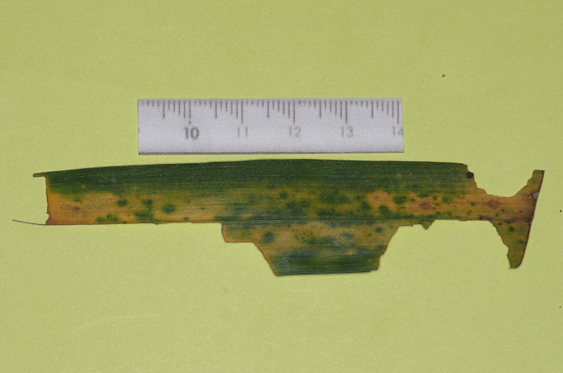 f0090680_22184687.jpg