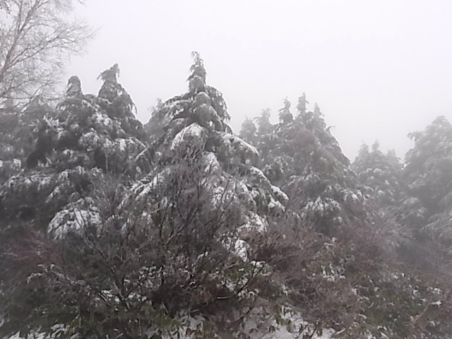 e0141982_1822301.jpg
