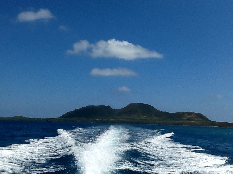 2012年10月21日(日) 秋晴れ_b0137083_1724163.jpg