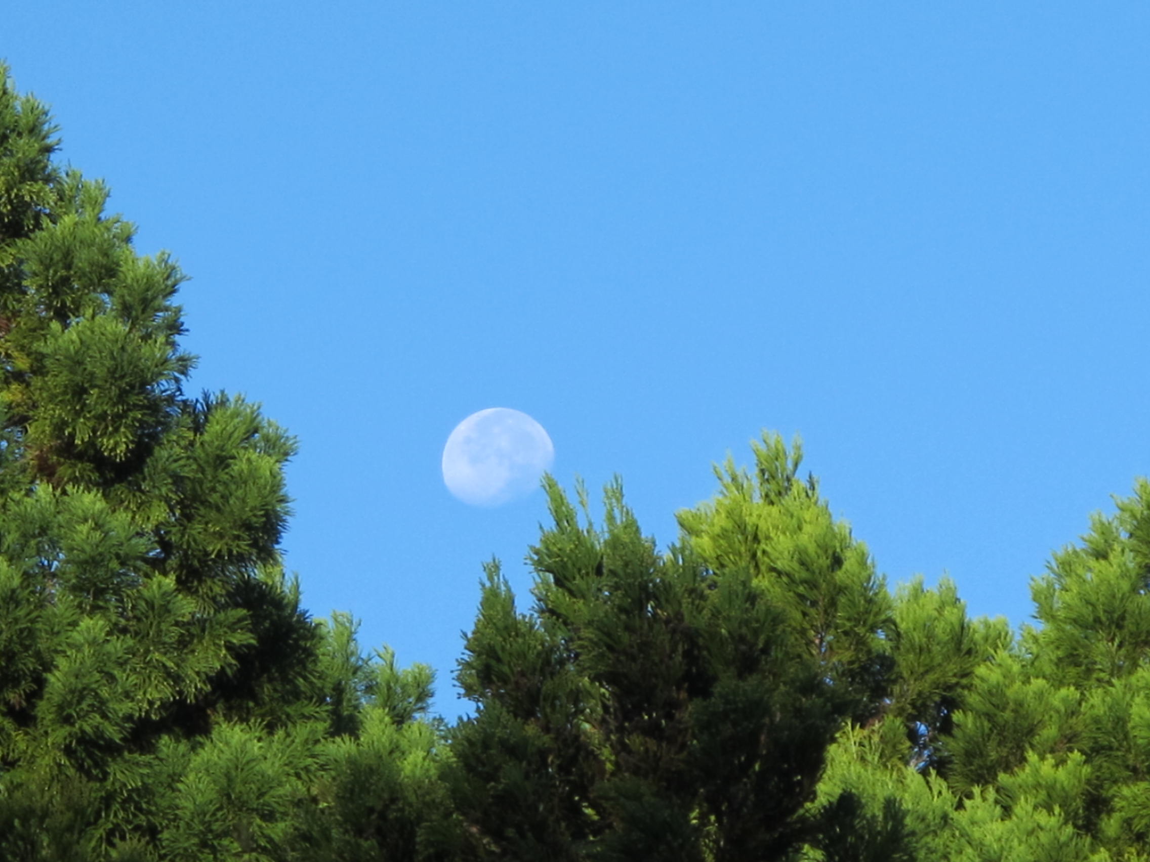 e0266183_9213360.jpg