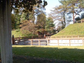 a0240486_21495892.jpg