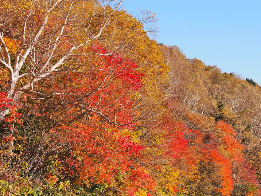 ２０１２年 浄土平・紅葉ツーリングと珍サイダー_d0244687_18443032.jpg