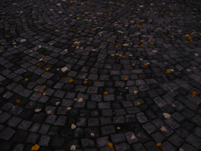 a0130093_75447.jpg