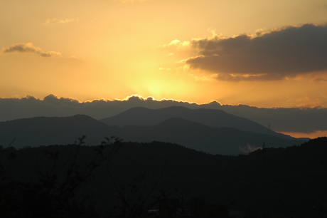 d0234293_82945.jpg