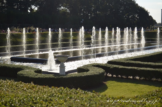 神代植物公園　秋のバラフェスタ_d0025294_15471297.jpg