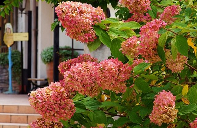 b0145398_0221085.jpg