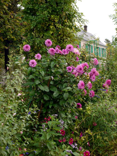 c0090198_21463.jpg